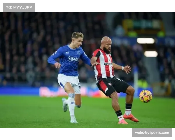 布伦特福德2-2战平埃弗顿，保级路上各取一分
